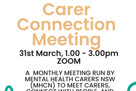 Carer Connections Meeting Copy Copy