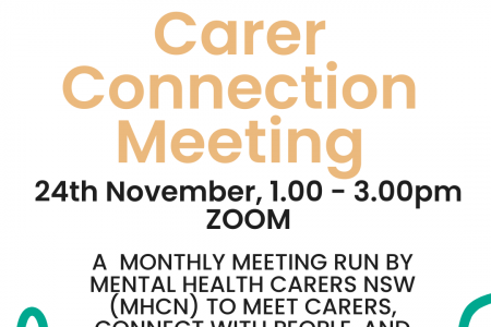 Carer Connections Meeting November